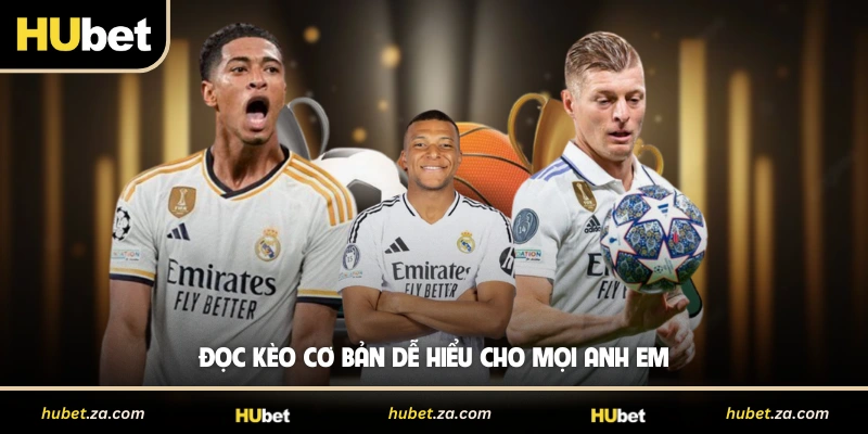 Đọc kèo cơ bản dễ hiểu cho mọi anh em