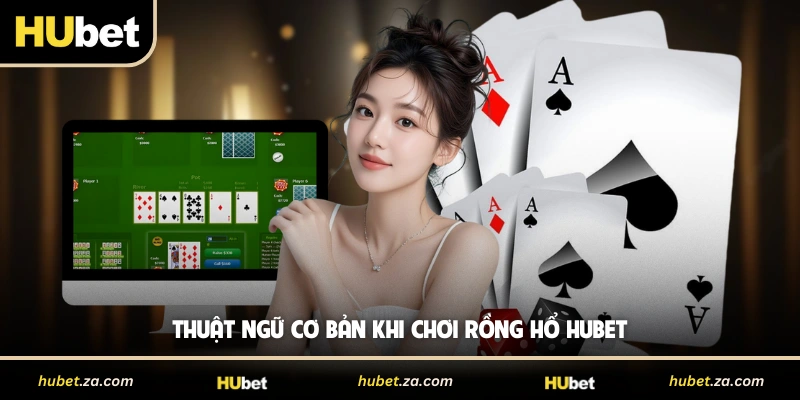 Thuật ngữ cơ bản khi chơi Rồng Hổ HUBET