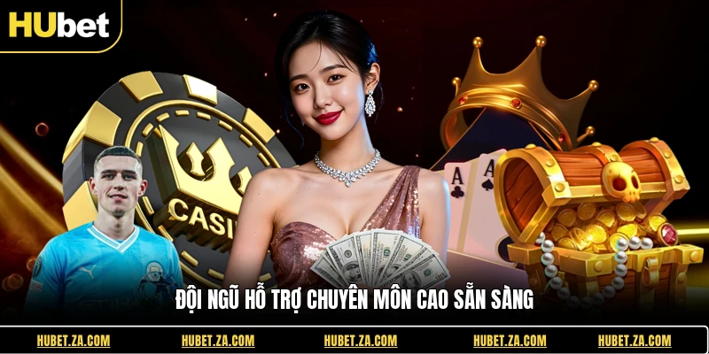 Đội ngũ hỗ trợ chuyên môn cao sẵn sàng